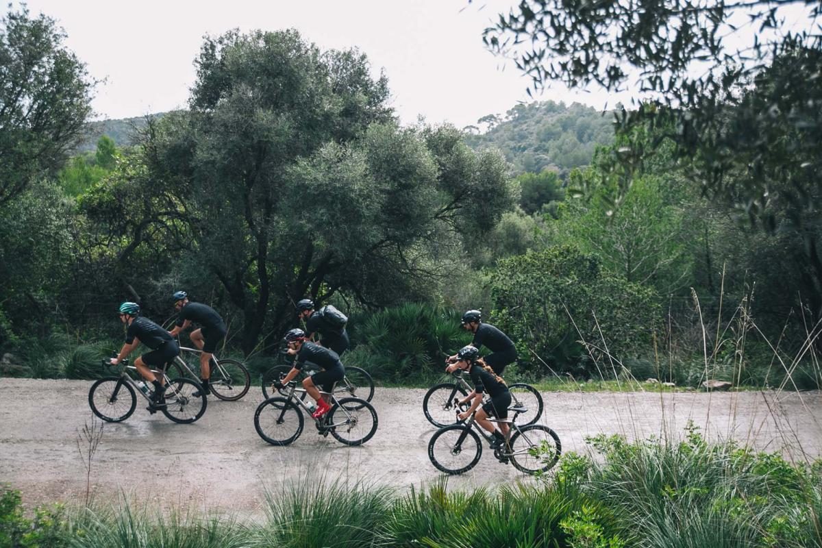 Gravelbike vs. gewone racefiets: 3 grote verschillen én 1 gouden tip -  WielerVerhaal
