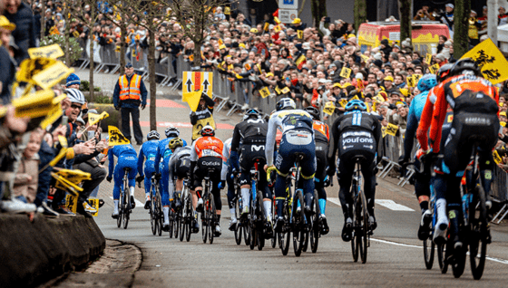 Ronde van Vlaanderen 2024 keert terug naar Antwerpen: nieuwe